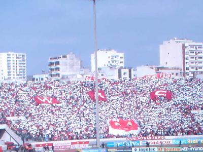 quel tifo??!!..